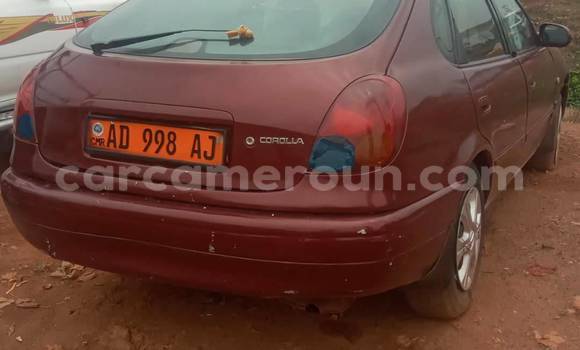Acheter Occasion Voiture Toyota Corolla Autre à Bafoussam, West Cameroon Acheter Occasion Voiture Toyota Corolla Autre à Bafoussam, West Cameroon