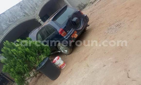 Acheter Occasion Voiture Toyota RAV4 Noir à Douala, Littoral Cameroon Acheter Occasion Voiture Toyota RAV4 Noir à Douala, Littoral Cameroon