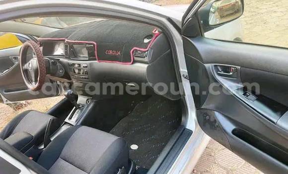 Acheter Occasion Voiture Toyota Runx Autre à Douala, Littoral Cameroon Acheter Occasion Voiture Toyota Runx Autre à Douala, Littoral Cameroon