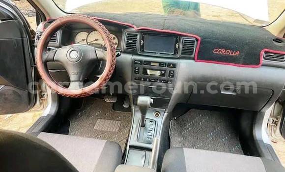 Acheter Occasion Voiture Toyota Runx Autre à Douala, Littoral Cameroon Acheter Occasion Voiture Toyota Runx Autre à Douala, Littoral Cameroon