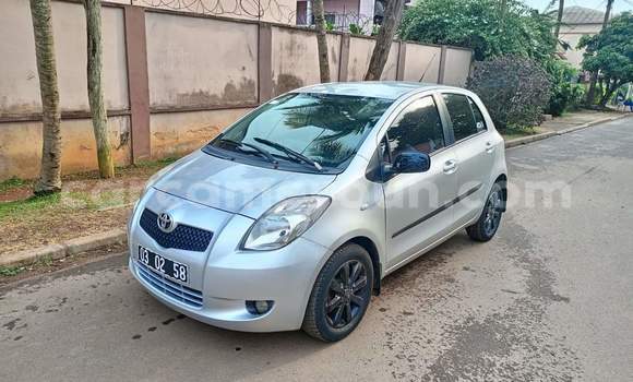 Buy Used Toyota Yaris Silver Car in Yaounde in Central Cameroon Buy Used Toyota Yaris Silver Car in Yaounde in Central Cameroon
