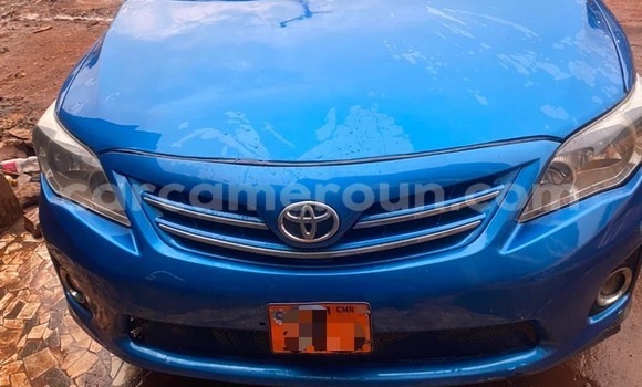 Buy Used Toyota Corolla Blue Car in Yaounde in Central Cameroon