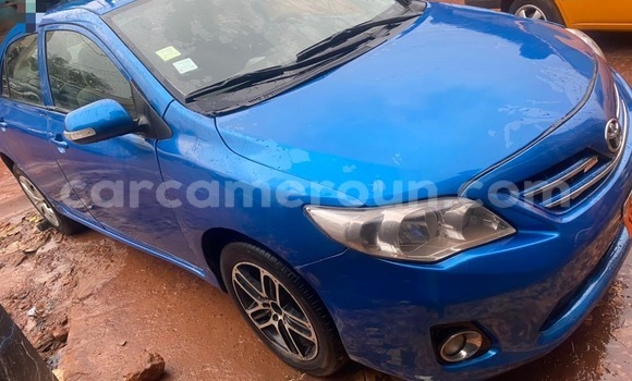 Acheter Occasion Voiture Toyota Corolla Bleu à Yaoundé, Central Cameroon Acheter Occasion Voiture Toyota Corolla Bleu à Yaoundé, Central Cameroon
