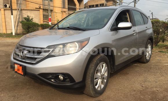 Buy Used Honda CR–V Silver Car in Douala in Littoral Cameroon