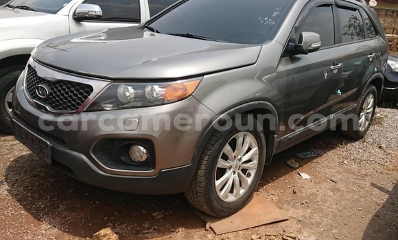 Buy Used Kia Sorento Brown Car in Yaounde in Central Cameroon Buy Used Kia Sorento Brown Car in Yaounde in Central Cameroon