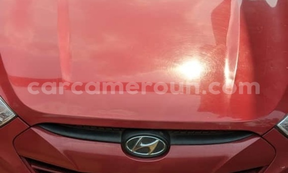 Buy Used Hyundai Tucson Red Car in Yaounde in Central Cameroon Buy Used Hyundai Tucson Red Car in Yaounde in Central Cameroon