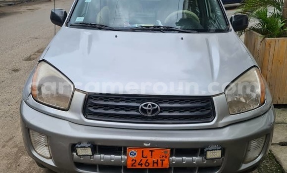 Acheter Occasion Voiture Toyota RAV4 Blanc à Douala, Littoral Cameroon