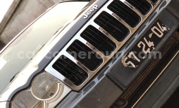 Sayi Imported Jeep Grand Cherokee Azurfa Mota in Douala a Ƙasar Kamaru