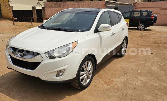 Buy Used Hyundai Tucson White Car in Yaounde in Central Cameroon Buy Used Hyundai Tucson White Car in Yaounde in Central Cameroon