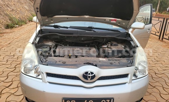 Buy Used Toyota Verso Silver Car in Yaounde in Central Cameroon