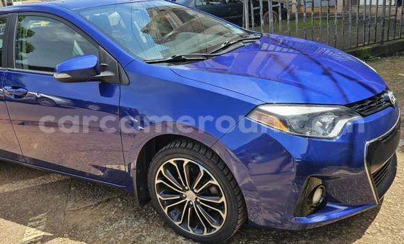 Buy Used Toyota Corolla Blue Car in Yaounde in Central Cameroon Buy Used Toyota Corolla Blue Car in Yaounde in Central Cameroon