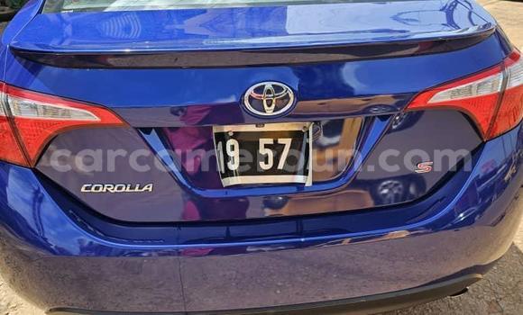 Sayi Na hannu Toyota Corolla Blue Mota in Yaounde a Babban Kamaru Sayi Na hannu Toyota Corolla Blue Mota in Yaounde a Babban Kamaru