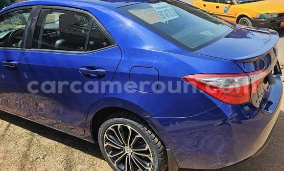 Sayi Na hannu Toyota Corolla Blue Mota in Yaounde a Babban Kamaru Sayi Na hannu Toyota Corolla Blue Mota in Yaounde a Babban Kamaru