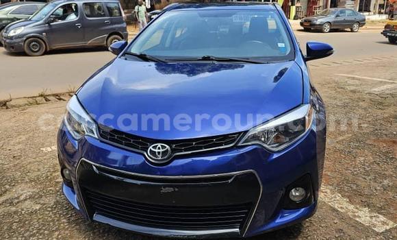 Sayi Na hannu Toyota Corolla Blue Mota in Yaounde a Babban Kamaru Sayi Na hannu Toyota Corolla Blue Mota in Yaounde a Babban Kamaru