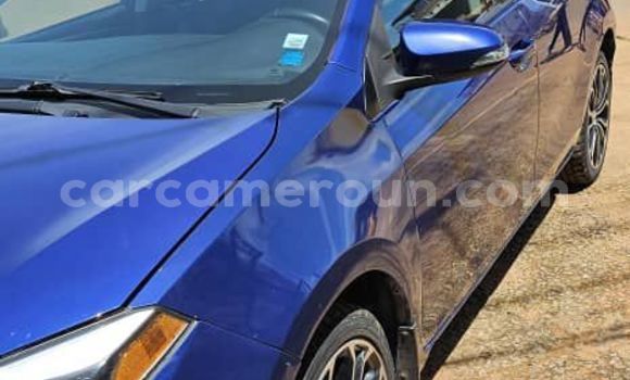 Sayi Na hannu Toyota Corolla Blue Mota in Yaounde a Babban Kamaru Sayi Na hannu Toyota Corolla Blue Mota in Yaounde a Babban Kamaru