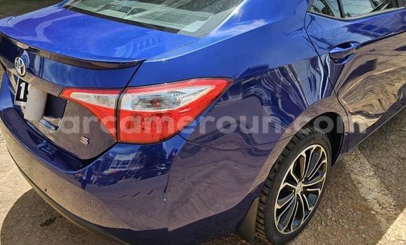 Sayi Na hannu Toyota Corolla Blue Mota in Yaounde a Babban Kamaru Sayi Na hannu Toyota Corolla Blue Mota in Yaounde a Babban Kamaru