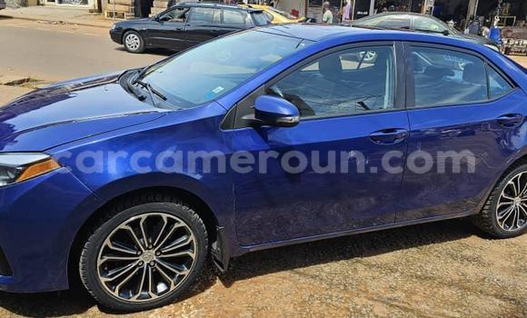 Sayi Na hannu Toyota Corolla Blue Mota in Yaounde a Babban Kamaru Sayi Na hannu Toyota Corolla Blue Mota in Yaounde a Babban Kamaru