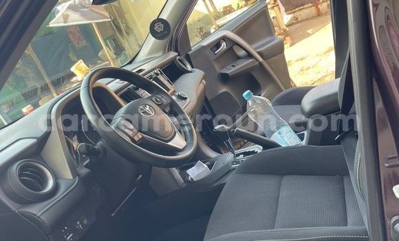Buy New Toyota RAV4 Brown Car in Douala in Littoral Cameroon