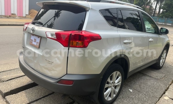 Buy New Toyota RAV4 Silver Car in Douala in Littoral Cameroon Buy New Toyota RAV4 Silver Car in Douala in Littoral Cameroon