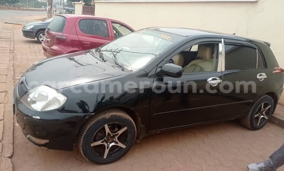 Acheter Occasion Voiture Toyota Runx Autre à Yaoundé, Central Cameroon Acheter Occasion Voiture Toyota Runx Autre à Yaoundé, Central Cameroon