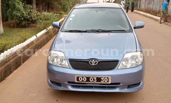 Acheter Occasion Voiture Toyota Runx Autre à Yaoundé, Central Cameroon Acheter Occasion Voiture Toyota Runx Autre à Yaoundé, Central Cameroon