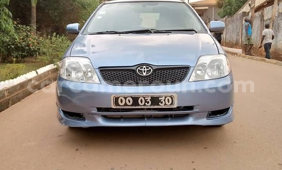 Acheter Occasion Voiture Toyota Runx Autre à Yaoundé, Central Cameroon Acheter Occasion Voiture Toyota Runx Autre à Yaoundé, Central Cameroon
