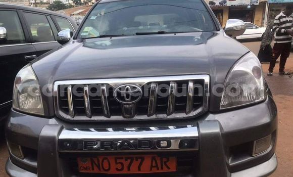 Buy Used Toyota Land Cruiser Other Car in Yaounde in Central Cameroon