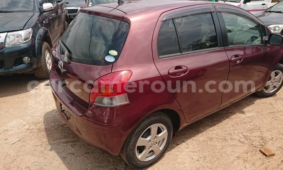 Buy Used Toyota Yaris Red Car in Yaounde in Central Cameroon Buy Used Toyota Yaris Red Car in Yaounde in Central Cameroon