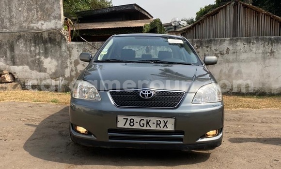 Sayi Na hannu Toyota Corolla Sauran Mota in Yaounde a Babban Kamaru Sayi Na hannu Toyota Corolla Sauran Mota in Yaounde a Babban Kamaru