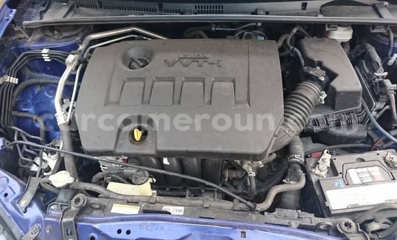 Sayi Na hannu Toyota Corolla Blue Mota in Yaounde a Babban Kamaru Sayi Na hannu Toyota Corolla Blue Mota in Yaounde a Babban Kamaru
