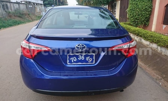 Sayi Na hannu Toyota Corolla Blue Mota in Yaounde a Babban Kamaru Sayi Na hannu Toyota Corolla Blue Mota in Yaounde a Babban Kamaru