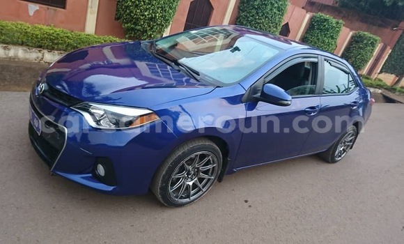 Sayi Na hannu Toyota Corolla Blue Mota in Yaounde a Babban Kamaru Sayi Na hannu Toyota Corolla Blue Mota in Yaounde a Babban Kamaru