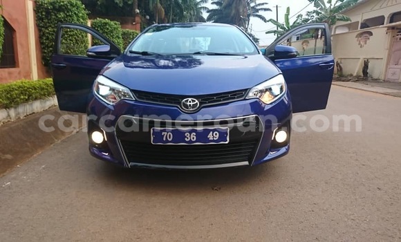 Buy Used Toyota Corolla Blue Car in Yaounde in Central Cameroon