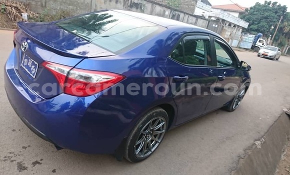 Acheter Occasion Voiture Toyota Corolla Bleu à Yaoundé, Central Cameroon Acheter Occasion Voiture Toyota Corolla Bleu à Yaoundé, Central Cameroon
