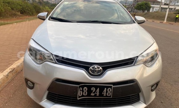 Sayi Na hannu Toyota Corolla Azurfa Mota in Yaounde a Babban Kamaru Sayi Na hannu Toyota Corolla Azurfa Mota in Yaounde a Babban Kamaru