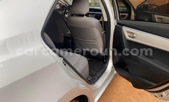 Acheter Occasion Voiture Toyota Corolla Gris à Yaoundé, Central Cameroon Acheter Occasion Voiture Toyota Corolla Gris à Yaoundé, Central Cameroon