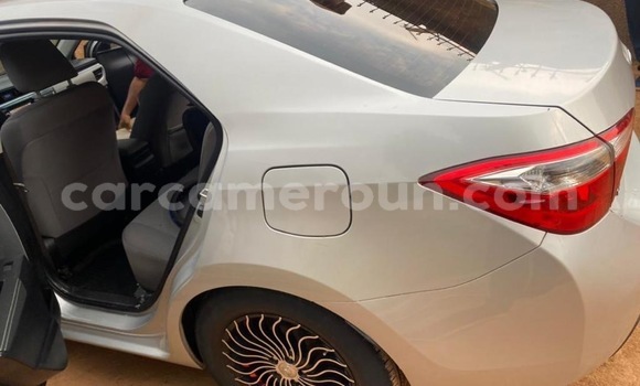 Acheter Occasion Voiture Toyota Corolla Gris à Yaoundé, Central Cameroon Acheter Occasion Voiture Toyota Corolla Gris à Yaoundé, Central Cameroon