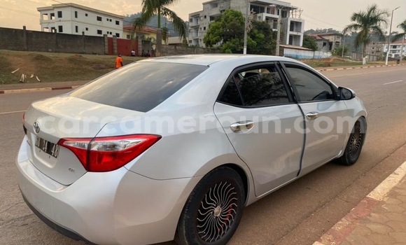 Acheter Occasion Voiture Toyota Corolla Gris à Yaoundé, Central Cameroon Acheter Occasion Voiture Toyota Corolla Gris à Yaoundé, Central Cameroon