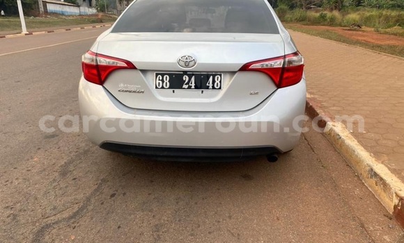 Acheter Occasion Voiture Toyota Corolla Gris à Yaoundé, Central Cameroon Acheter Occasion Voiture Toyota Corolla Gris à Yaoundé, Central Cameroon
