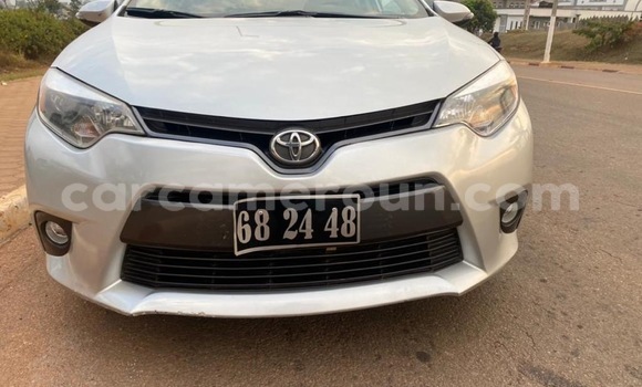 Acheter Occasion Voiture Toyota Corolla Gris à Yaoundé, Central Cameroon Acheter Occasion Voiture Toyota Corolla Gris à Yaoundé, Central Cameroon