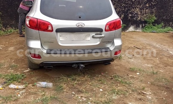 Acheter Occasion Voiture Hyundai Santa Fe Gris à Douala, Littoral Cameroon