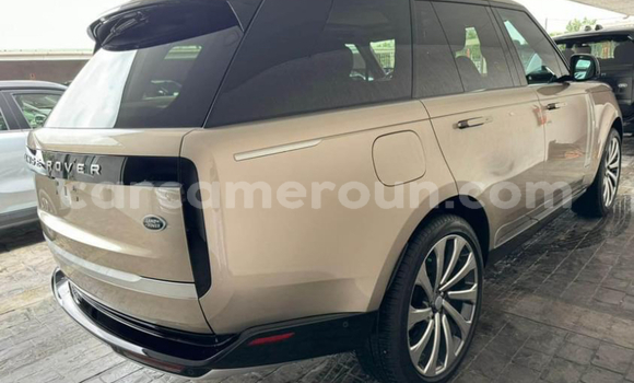 Acheter Neuf Voiture Range Rover Range Rover Beige à Douala, Littoral Cameroon Acheter Neuf Voiture Range Rover Range Rover Beige à Douala, Littoral Cameroon