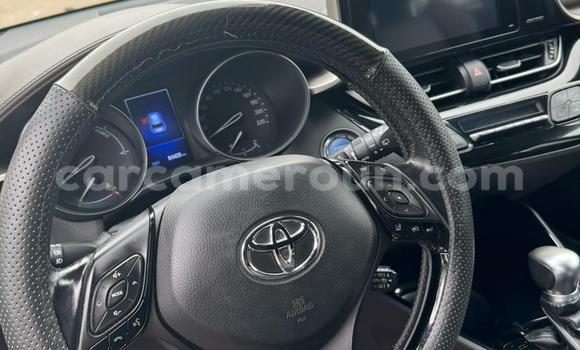Buy Used Toyota C-HR Other Car in Douala in Littoral Cameroon Buy Used Toyota C-HR Other Car in Douala in Littoral Cameroon