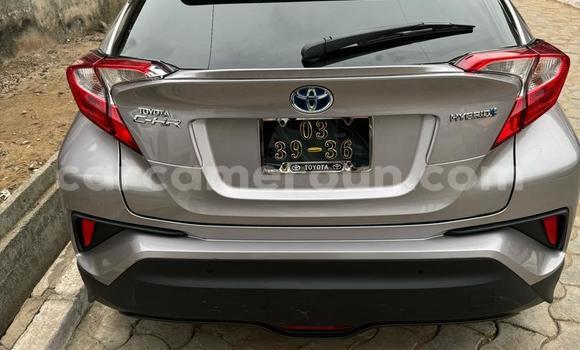 Buy Used Toyota C-HR Other Car in Douala in Littoral Cameroon Buy Used Toyota C-HR Other Car in Douala in Littoral Cameroon