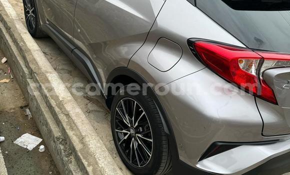 Buy Used Toyota C-HR Other Car in Douala in Littoral Cameroon Buy Used Toyota C-HR Other Car in Douala in Littoral Cameroon