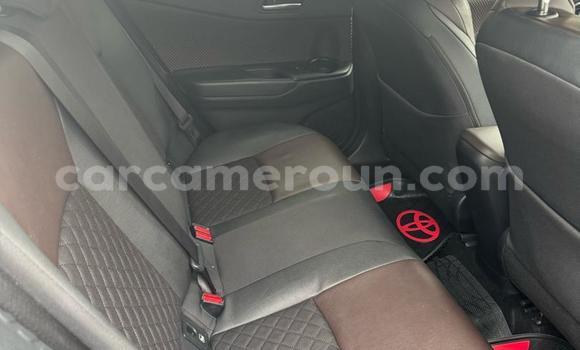Buy Used Toyota C-HR Other Car in Douala in Littoral Cameroon Buy Used Toyota C-HR Other Car in Douala in Littoral Cameroon