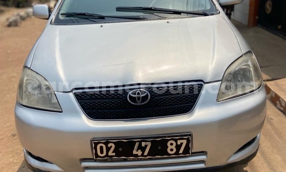 Sayi Sabo Toyota Corolla Red Mota in Douala a Ƙasar Kamaru