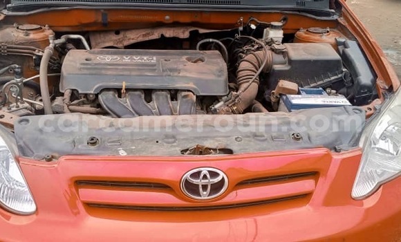 Sayi Sabo Toyota Corolla Red Mota in Douala a Ƙasar Kamaru Sayi Sabo Toyota Corolla Red Mota in Douala a Ƙasar Kamaru