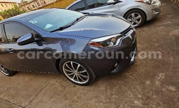 Acheter Occasion Voiture Toyota Corolla Bleu à Yaoundé, Central Cameroon Acheter Occasion Voiture Toyota Corolla Bleu à Yaoundé, Central Cameroon