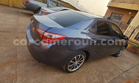 Acheter Occasion Voiture Toyota Corolla Bleu à Yaoundé, Central Cameroon Acheter Occasion Voiture Toyota Corolla Bleu à Yaoundé, Central Cameroon